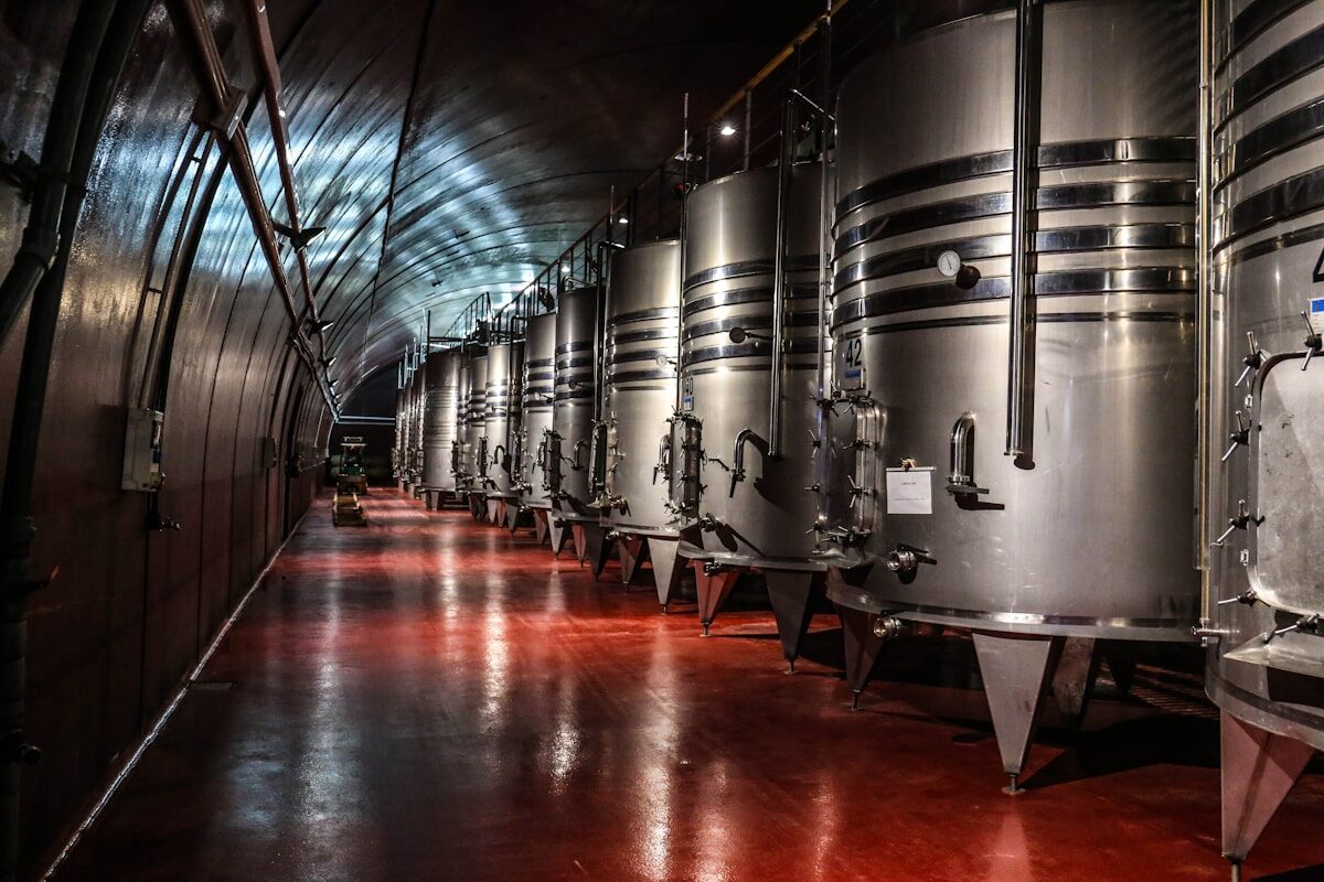 Vignoble de Châteauneuf-du-Pape avec galets roulés
