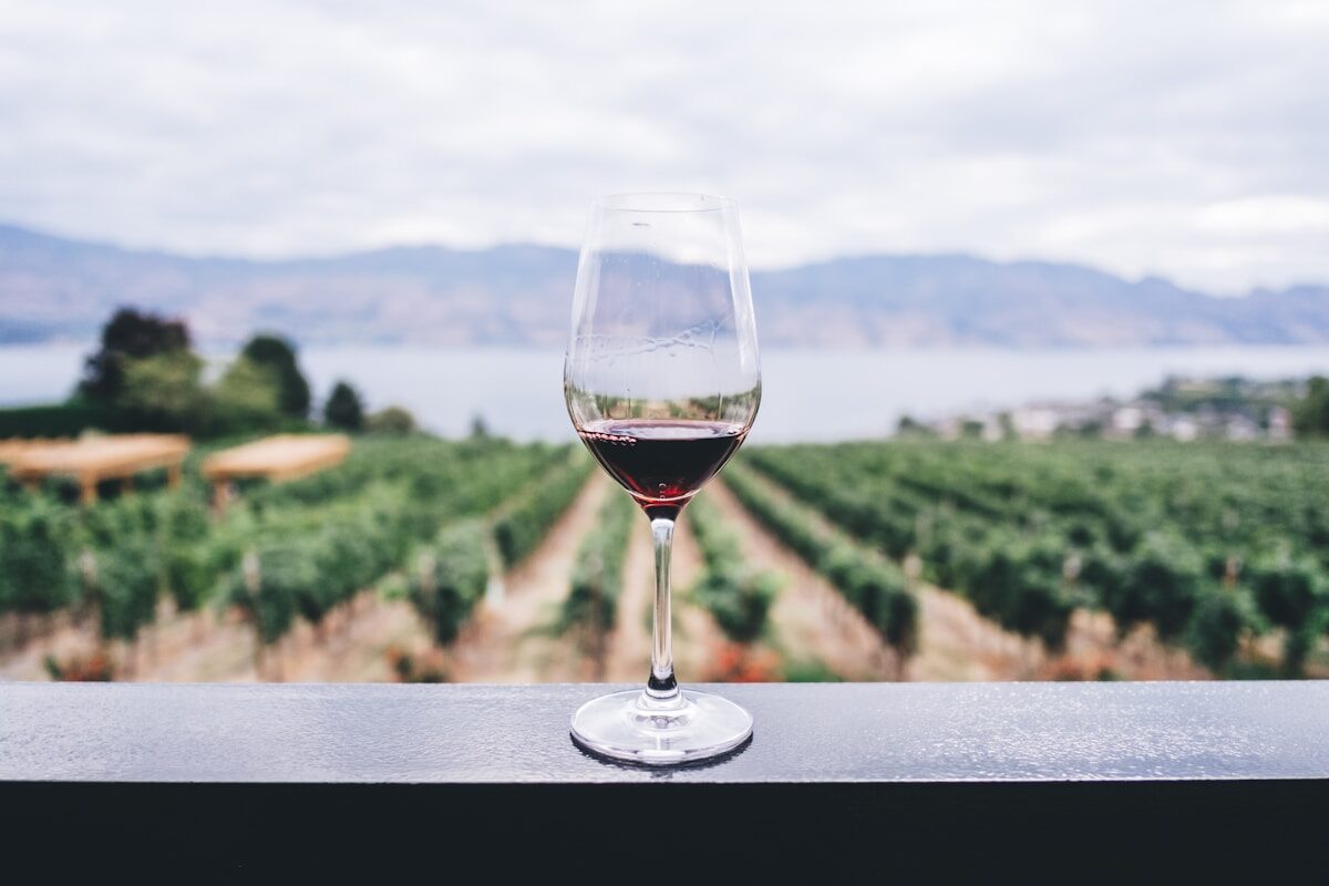 Vignoble des Coteaux du Layon dans la vallée de la Loire